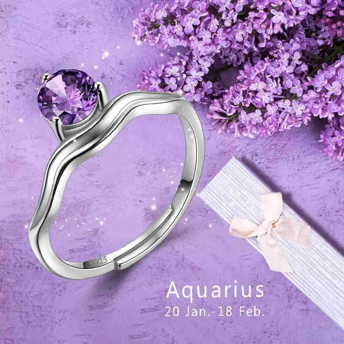 Aquarius Zodiac Women Girls Jewelry Birthday Gift Ring February Amethyst Birthstone